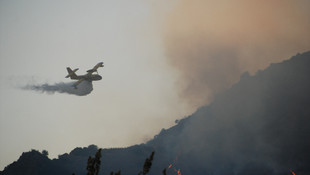 Aydın'da makilik alanda yangın