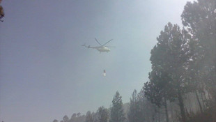 Aydın’da orman yangını
