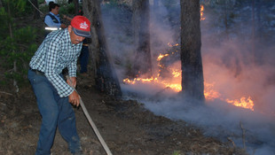 Aydın'da orman yangını