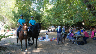 Aydın'daki milli parkta bayram tatili yoğunluğu