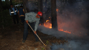 Aydın'daki orman yangını
