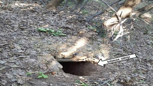 Bingöl'de terör operasyonu