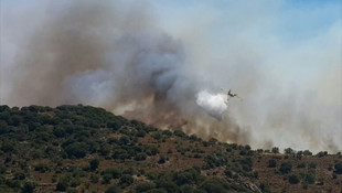 Bodrum'da makilik alan yangını