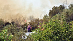 Bodrum'da makilik alanda çıkan yangın