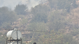 Bodrum'da makilik alanda yangın