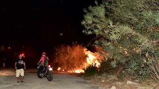 Bodrum'da makilik alanda yangın