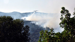 Bodrum'da orman yangını