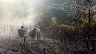 Bodrum'da orman yangını