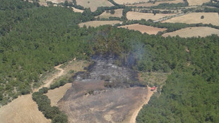 Çanakkale'de orman yangını