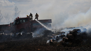 Çanakkale'deki orman yangını
