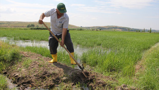 Çeltik çiftçisinin su mesaisi başladı