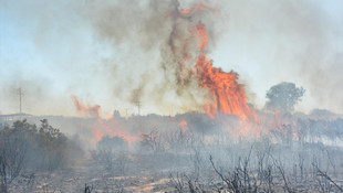 Didim’de makilik alanda yangın