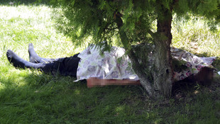 Doktorun bıçaklanarak öldürüldüğü iddiası