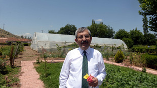 Eski tatları bulmak için tohum paylaşacaklar