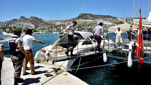 FETÖ'nün darbe girişimi