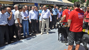 FETÖ'nün darbe girişimine tepkiler