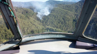 Gaziantep'te orman yangını