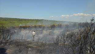 GÜNCELLEME - Gelibolu Yarımadası'nda orman yangını