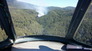 Hatay'da orman yangını