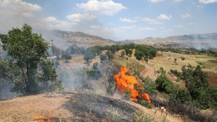 Diyarbakırdaki terör operasyonu! 1 terörist yakalandı