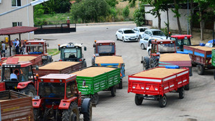 Hububat üreticisi bu yıl altın yılını yaşıyor