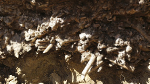 İSKİ kazısında insan kemikleri bulundu