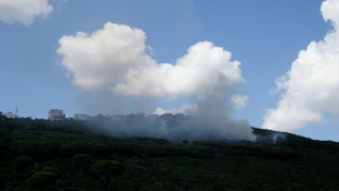 İstanbul'da orman yangını