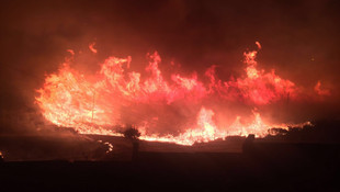 İzmir'de ağaçlık alanda yangın