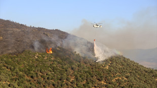İzmir'de makilik alanda yangın