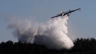 İzmir'de makilik alanda yangın