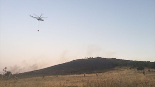 İzmir'de orman yangını