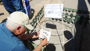 Kemer'de caretta caretta yuvası koruma altına alındı