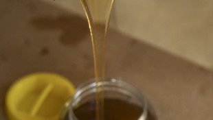 Kestane balı üreticisini sevindirdi