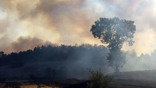 Kütahya'da orman yangını