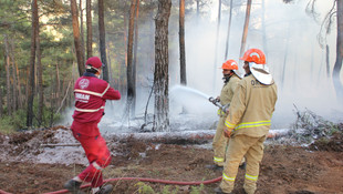 Kütahya'da orman yangını