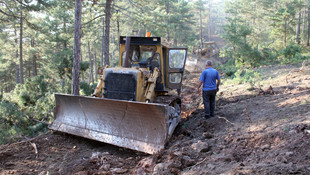 Kütahya'daki orman yangını