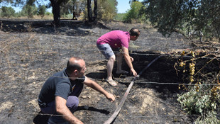 Manavgat'ta makilik alanda yangın