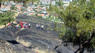 Manisa'da makilik alanda yangın