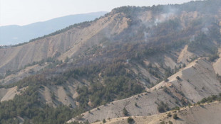Mudurnu’da orman yangını
