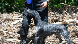 Ordu'daki sel ve heyelan