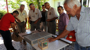 Saka kuşu avlayan Suriyeliye para cezası