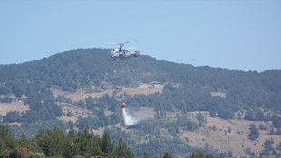 Sakarya’da orman yangını