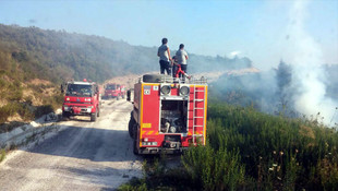Suriye sınırında orman yangını