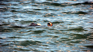 Tekirdağ'da denizde erkek cesedi bulundu