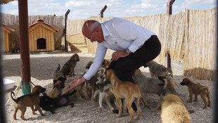 Ürgüp'te sokak hayvanlarına kötü muamele iddiası