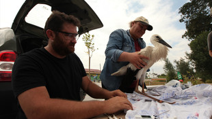 Verici takılan leyleklere uydudan takip