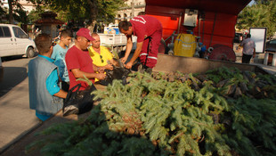 15 Temmuz şehitleri için 2 bin fidan dağıtıldı