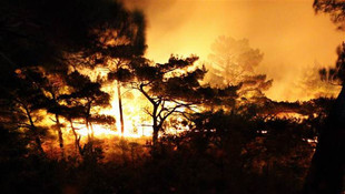 Kazdağlarında yangın çıktı