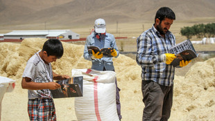 AA'nın Dakika Dakika FETÖ'nün Darbe Girişimi kitabı