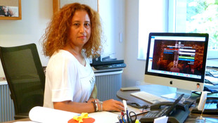 Açık Öğretim Lisesi Batı Avrupa Programı